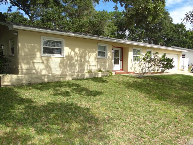 1020 San Salvador Dr in Dunedin, FL - Building Photo - Building Photo