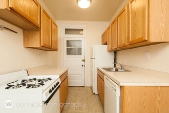 903 W Altgeld St, Unit 1B in Chicago, IL - Foto de edificio - Building Photo