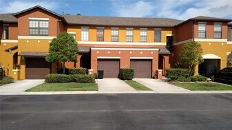 30105 Mossbank Dr in Wesley Chapel, FL - Building Photo
