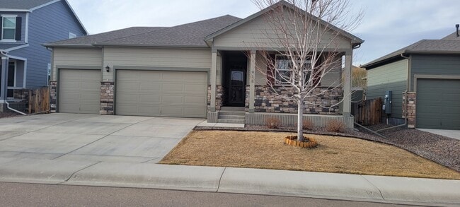 916 Birchdale Ct in Windsor, CO - Building Photo - Building Photo