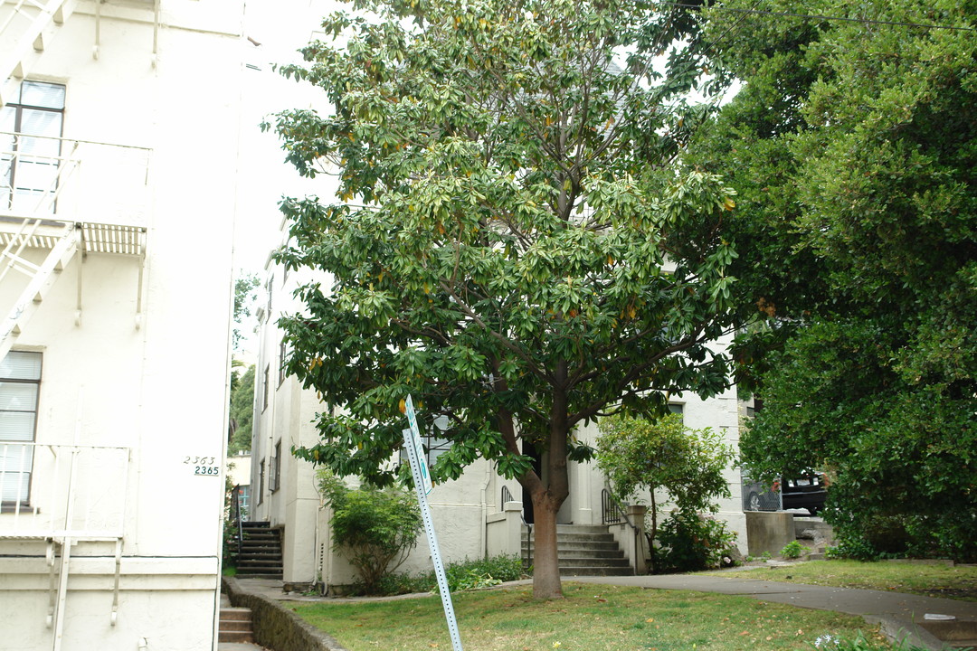 2369 Le Conte in Berkeley, CA - Foto de edificio