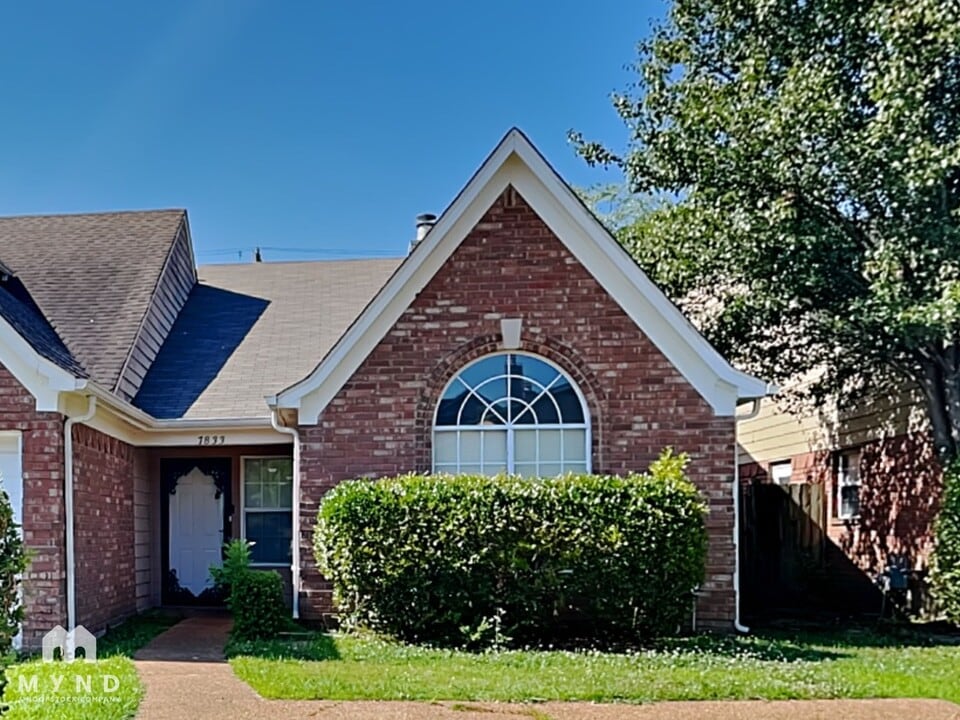 7833 Shadowland Cove in Memphis, TN - Building Photo