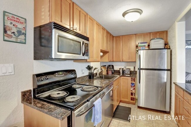 1151 N Marion St in Denver, CO - Building Photo - Building Photo