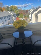 163 South St in Danbury, CT - Building Photo - Building Photo