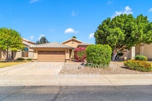1616 E Heather Ave in Gilbert, AZ - Building Photo