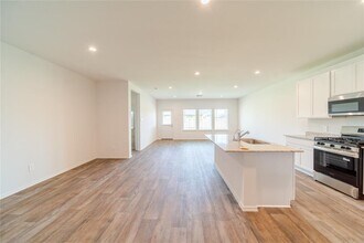 30831 Khepri Ct in Fulshear, TX - Building Photo - Building Photo