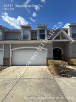 10816 Dragonwood Dr in Tampa, FL - Building Photo