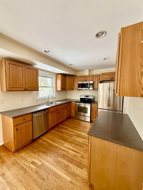 27 Ledgewood Rd in Framingham, MA - Building Photo - Building Photo