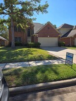 9519 Willow Lodge Ct in Houston, TX - Building Photo