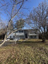 310 West St in Amherst, MA - Building Photo