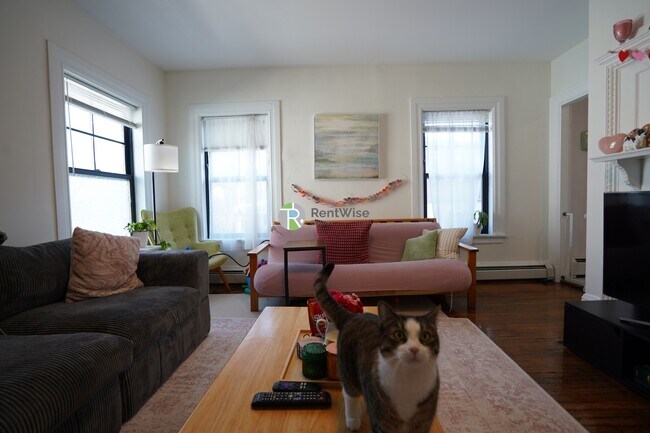 66 Chester St, Unit 2 in Boston, MA - Building Photo - Building Photo