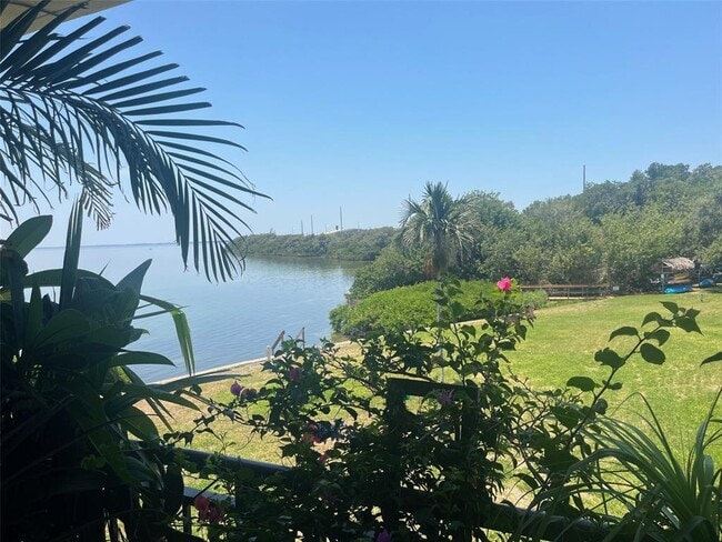 6372 Palma Del Mar Blvd S in St. Petersburg, FL - Building Photo - Building Photo