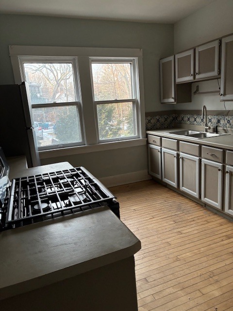 1042 E Gorham St in Madison, WI - Building Photo - Building Photo