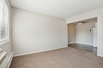 1437 Ford Ave in Wyandotte, MI - Building Photo - Building Photo