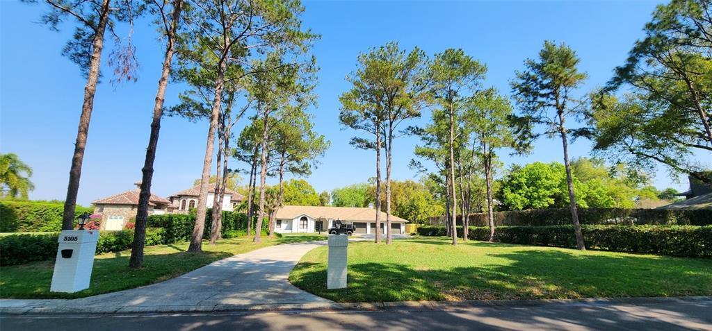 3105 Mossvale Ln in Tampa, FL - Building Photo