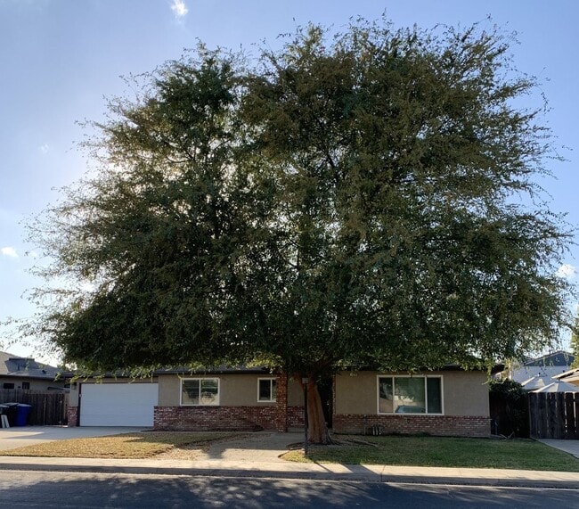 2520 Aspen St in Hanford, CA - Building Photo - Building Photo
