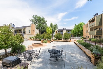 The Collective Glendale in Denver, CO - Building Photo - Building Photo