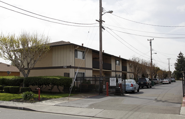 Schafer Road Apartments