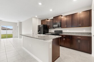 951 Olive Conch St in Ruskin, FL - Building Photo - Building Photo