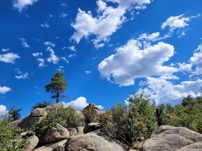 1135 Boulder Park Ave in Prescott, AZ - Foto de edificio - Building Photo