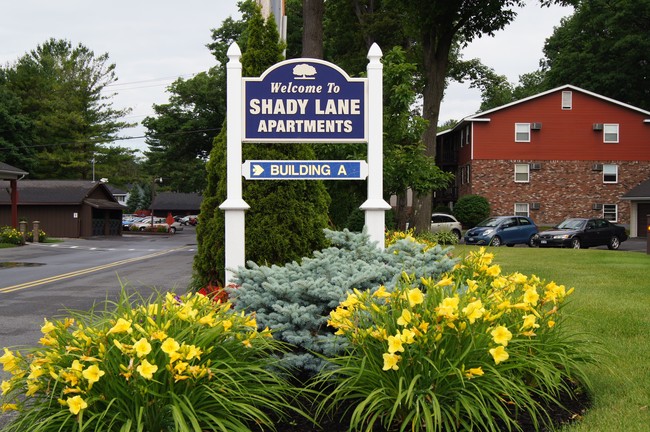 Shady Lane Apartments in Schenectady, NY - Building Photo - Building Photo