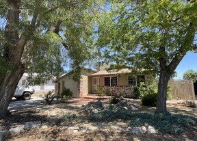 1320 Yori Ave in Reno, NV - Building Photo