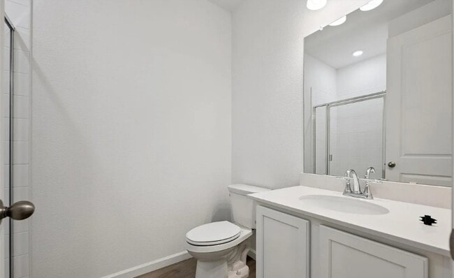 924 Steppe Ln in Windsor, CO - Building Photo - Building Photo