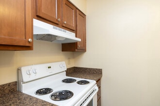 River Pines Senior Apartments 55+ in Tampa, FL - Building Photo - Interior Photo