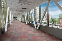 318 Commons in Rochester, MN - Foto de edificio - Interior Photo