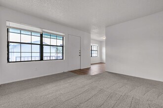 106 Lady Bird Ln in San Marcos, TX - Building Photo - Building Photo