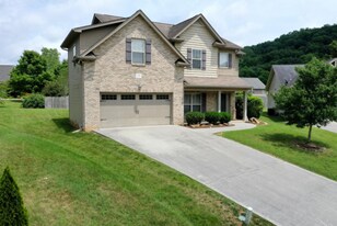11701 Hughes Ln in Knoxville, TN - Building Photo