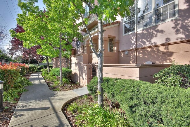 property at 467 Cascadita Ter