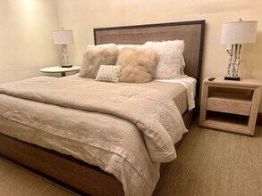 1395 Snowbunny Ln in Aspen, CO - Building Photo - Building Photo