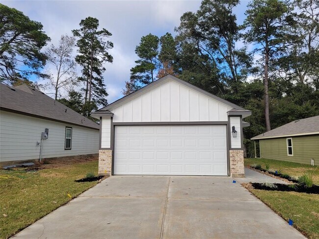 12946 Sorrento Bay Dr in Willis, TX - Building Photo - Building Photo