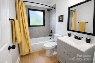 316 Skyland Ave in Charlotte, NC - Building Photo - Building Photo