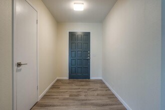 2503 Versailles Dr in Cedar Park, TX - Building Photo - Building Photo