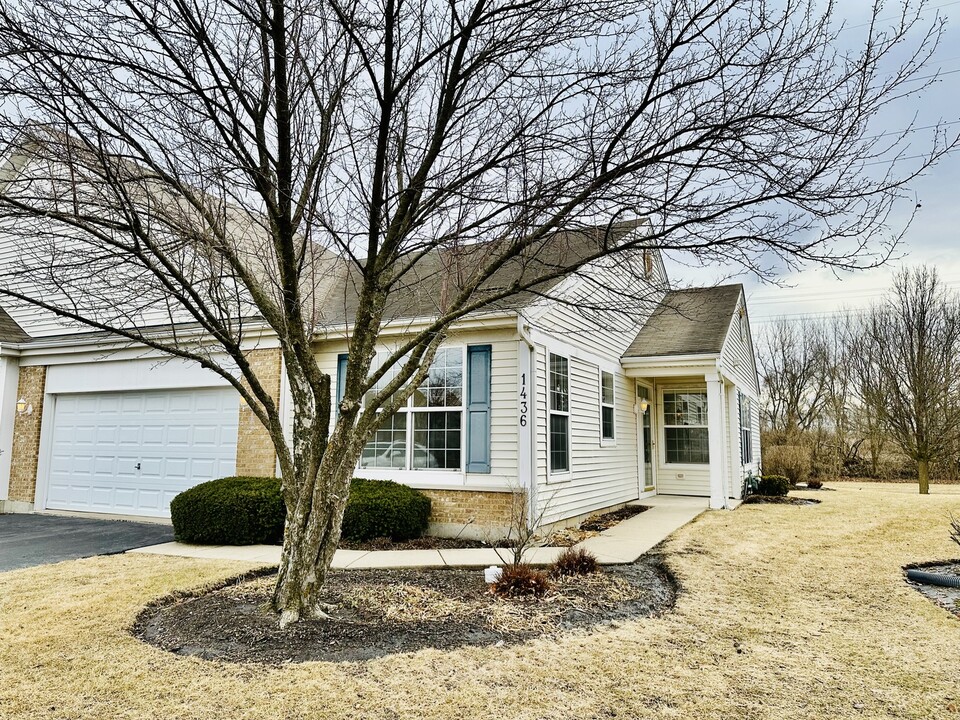 1436 Cambria Dr in Dekalb, IL - Building Photo