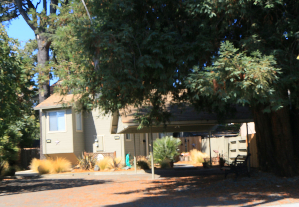 221 Earle St in Santa Rosa, CA - Building Photo