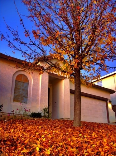 property at 111 Lembi Dr