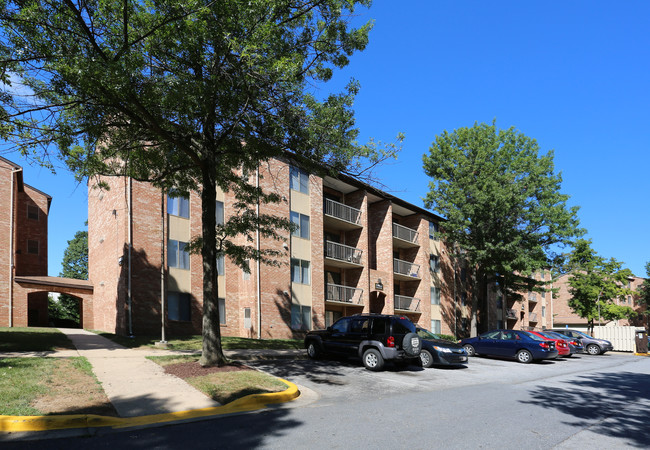 Vista at White Oak in Silver Spring, MD - Building Photo - Building Photo