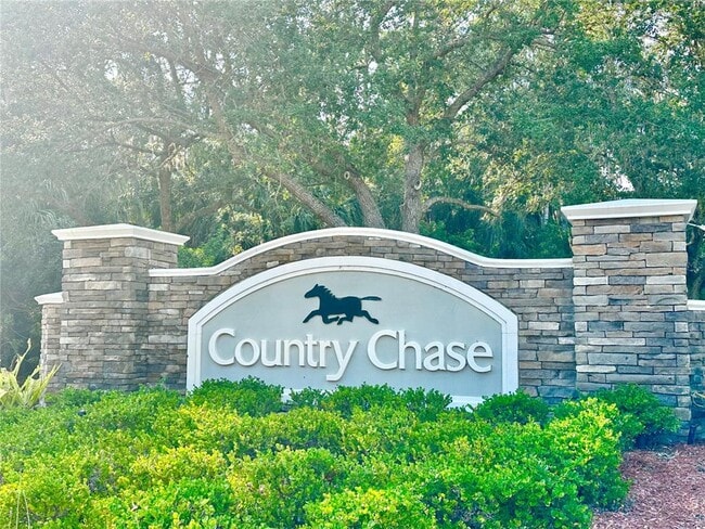 12249 Country White Cir in Tampa, FL - Building Photo - Building Photo