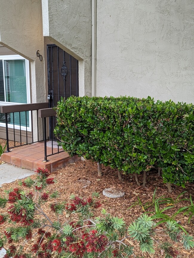 7813 Tommy Dr, Unit 60 in San Diego, CA - Building Photo - Building Photo