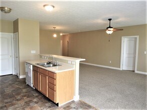 1565 Cold Spring Dr in Brownsburg, IN - Building Photo - Building Photo