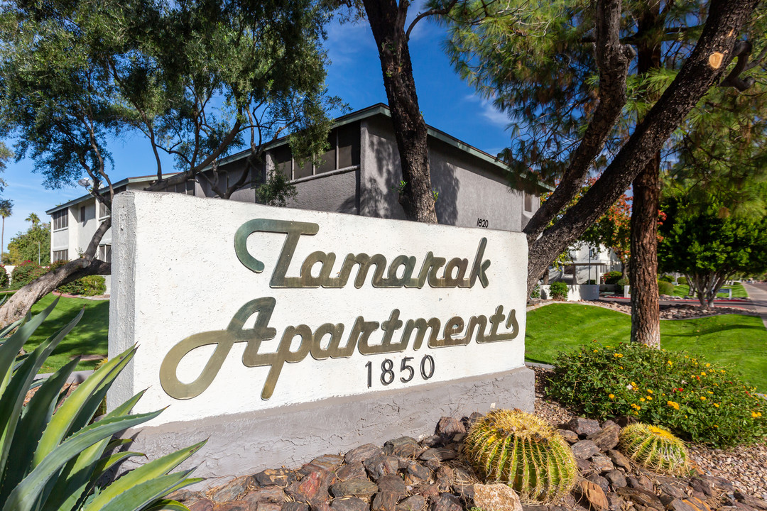 Tamarak Apartments Photo