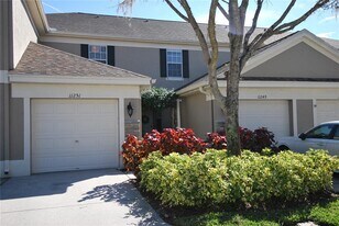 11251 Windsor Pl Cir in Tampa, FL - Building Photo