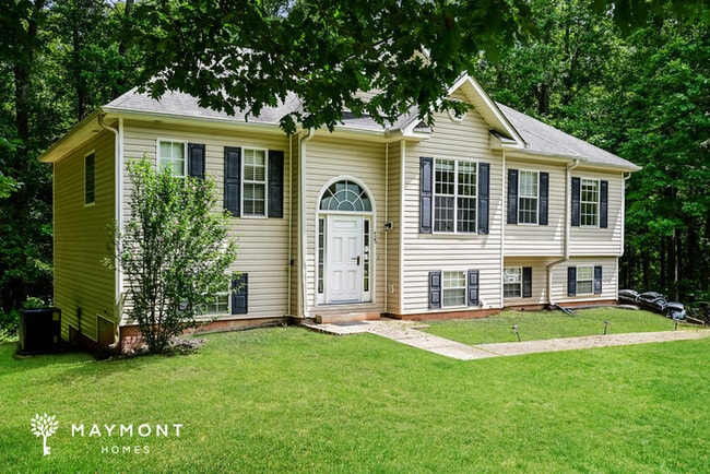 425 Misty Brook Ct in Hampton, GA - Building Photo - Building Photo