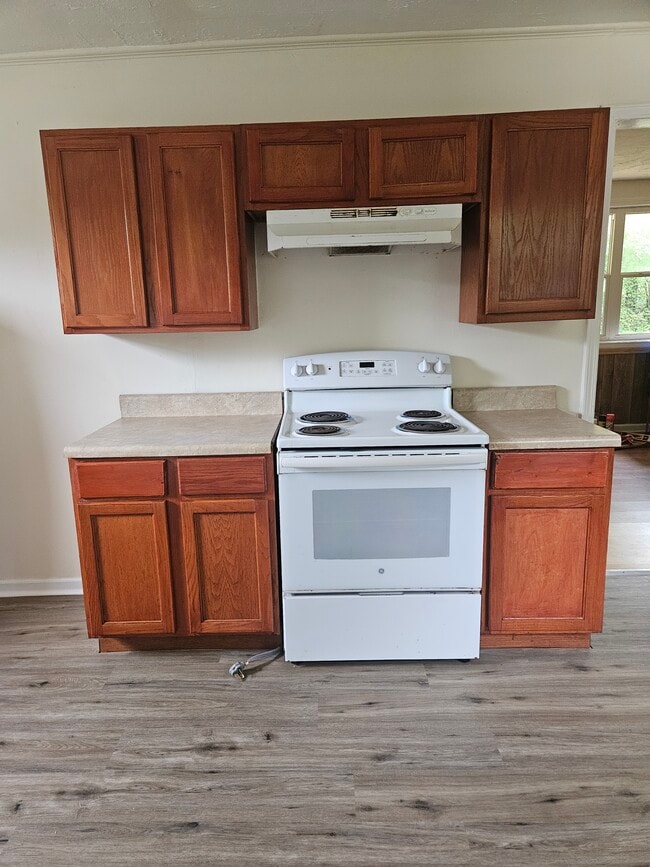 305 Scott Town Dr in Hartwell, GA - Building Photo - Building Photo