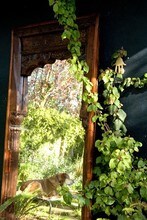 11818 Pacific Ave in Los Angeles, CA - Building Photo - Building Photo