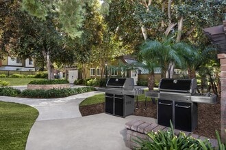 Timbers Upland Apartments in Upland, CA - Building Photo - Building Photo