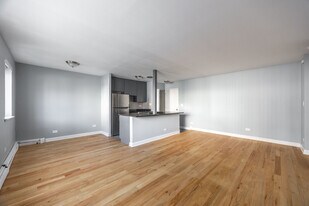 656 W Grace St, Unit 2 in Chicago, IL - Building Photo